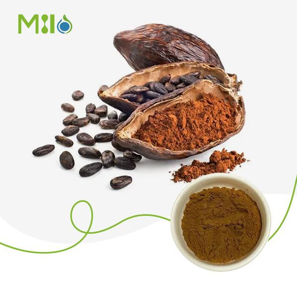 Cocoa Extract Powder
