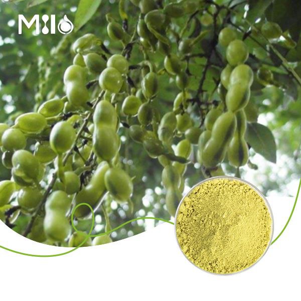 Kaempferol Powder