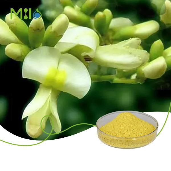 Rutin Powder