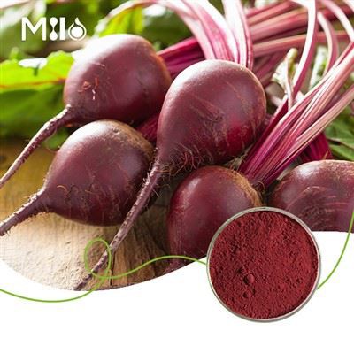 Порошок корня красной свеклы